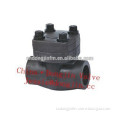 Forged Check Valve with high quality and competitive price,wenzhou factory